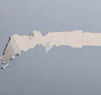 How Paint Sheen Choice Changes a Room More Than Color Does