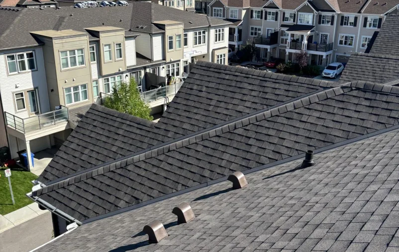 How Roof Design Influences Overall Home Efficiency