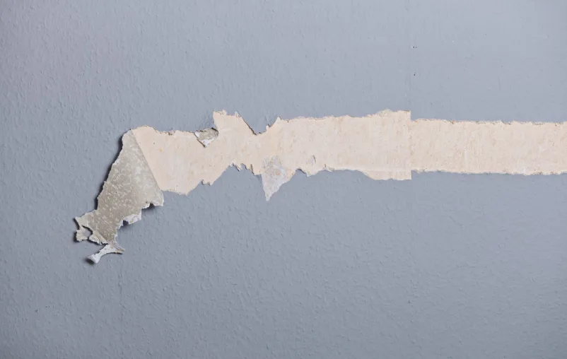 Why Paint Keeps Failing on the Same Wall